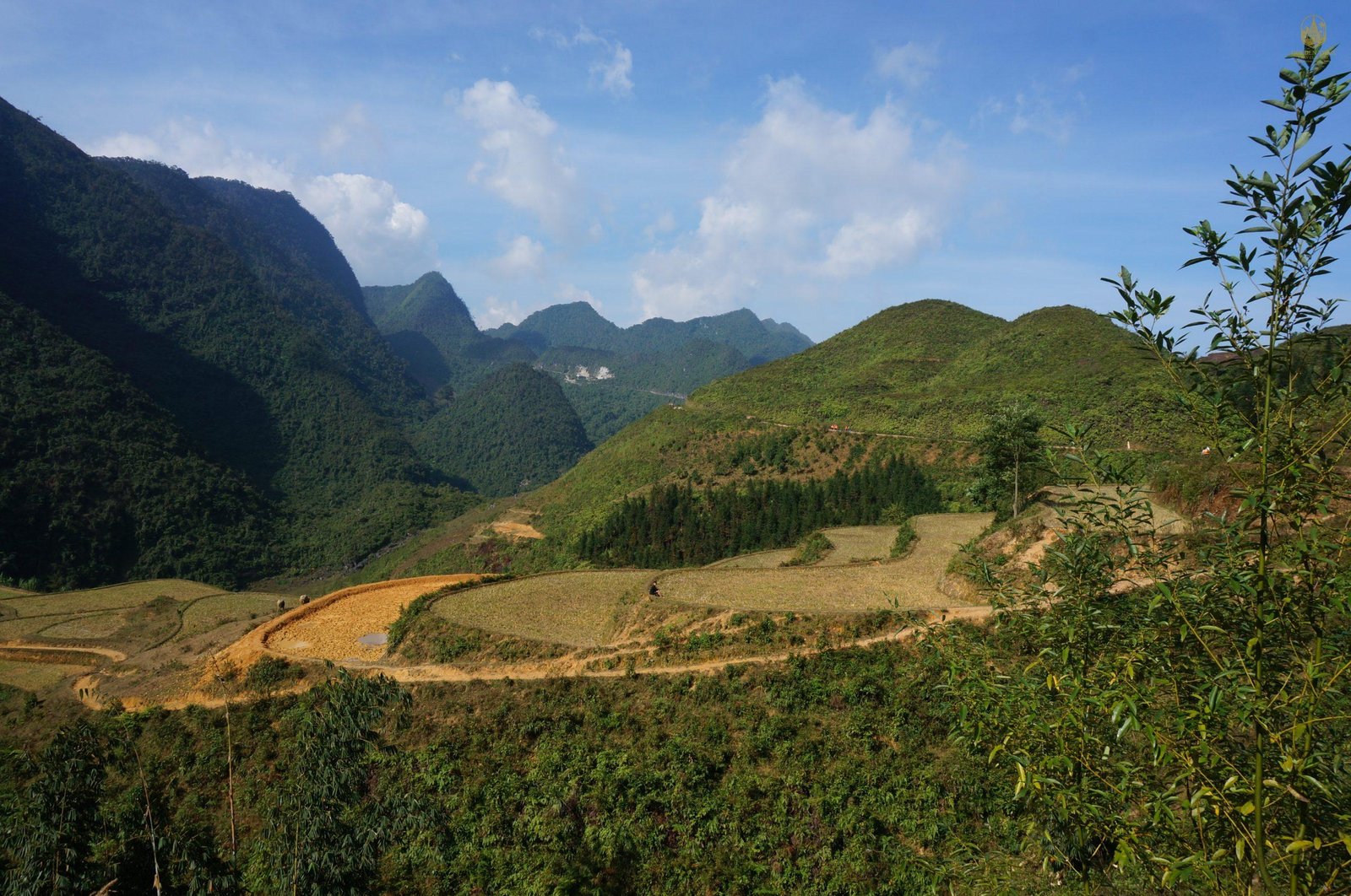 12-Day Northern Vietnam Cycling Tour: Mu Cang Chai, Ha Giang & Hoang Su Phi Bike Adventure
